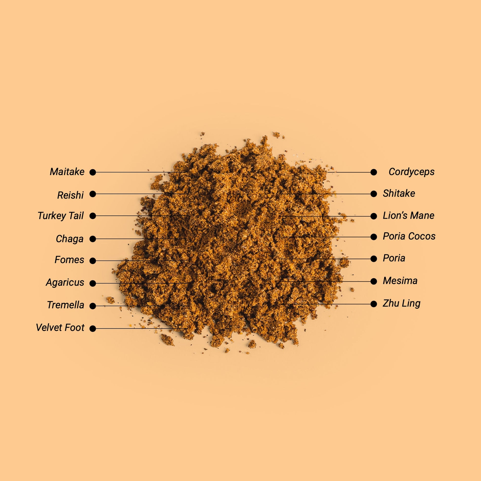 Close-up of the powder inside Herbaly's Wellness Mushroom Complete for Vitality Capsules showing its fine texture and color