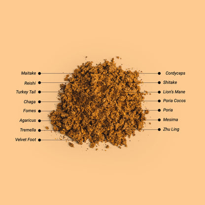 Close-up of the powder inside Herbaly's Wellness Mushroom Complete for Vitality Capsules showing its fine texture and color